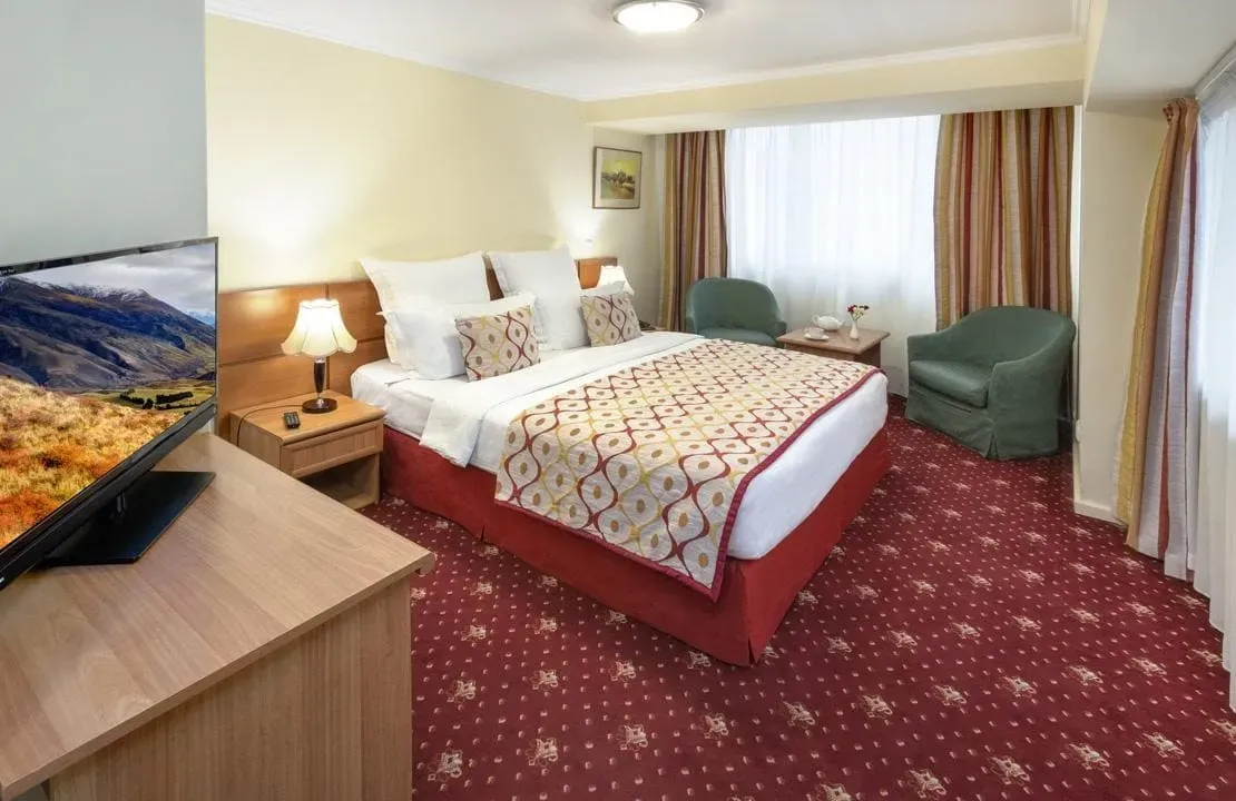 Ani%20Plaza%20Hotel%20room.webp