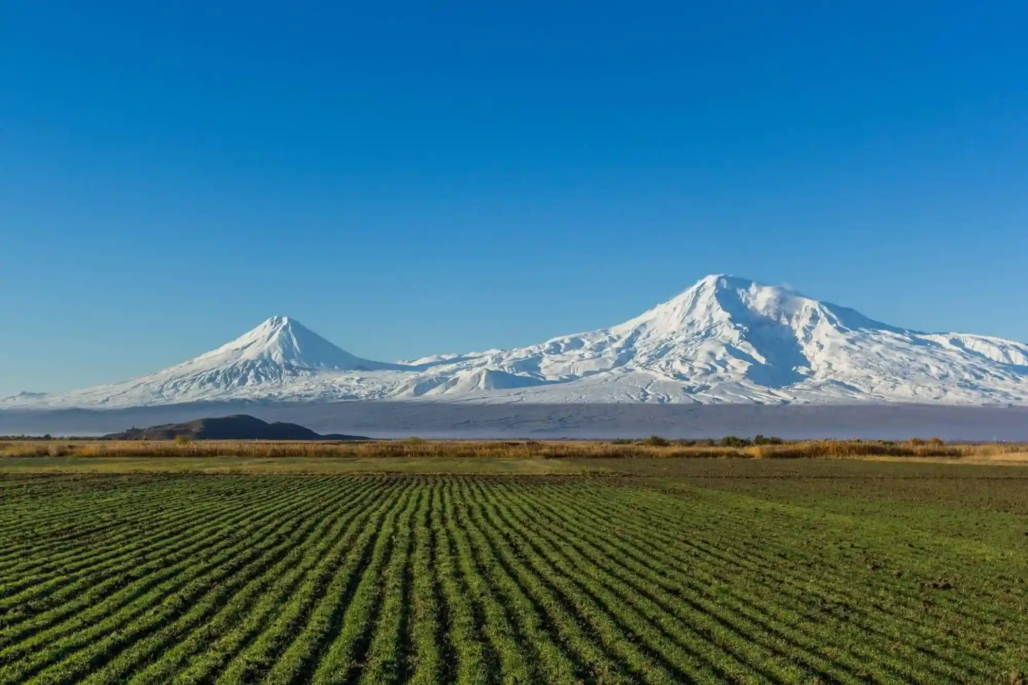 Ararat%20view%20from%20armenia.webp